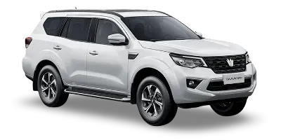 OTING Паладин 